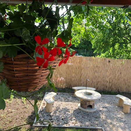 Mormota Vendégház Mezőkövesd Exterior foto